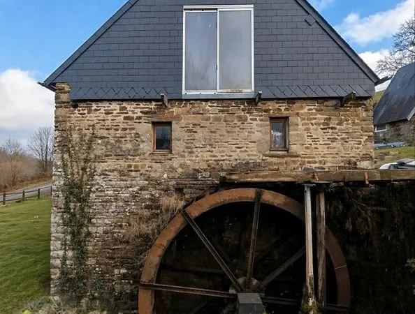 Logement atypique Vente Ger 1p 200m² 194000€