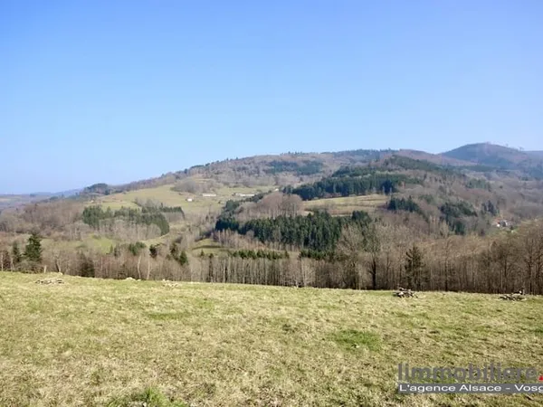 Terrain à vendre La Croix-aux-Mines