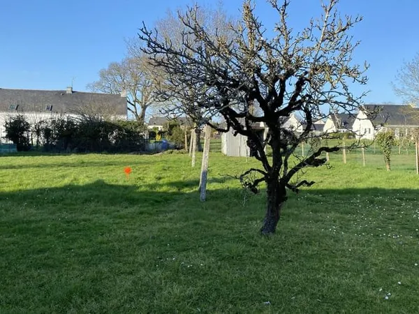 Terrain 506 m²