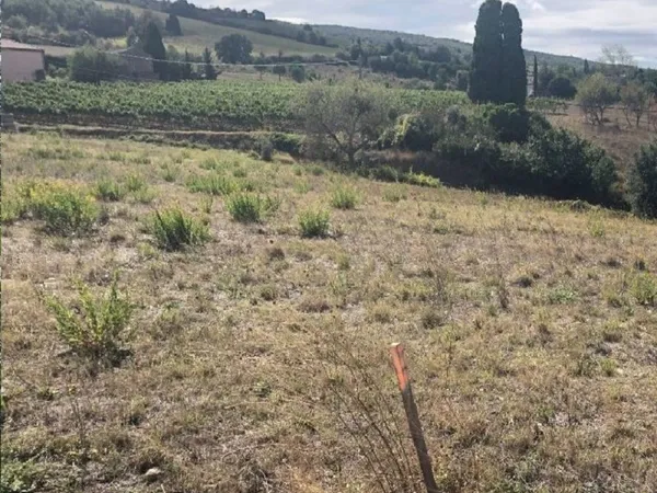 Terrain 1000 m²