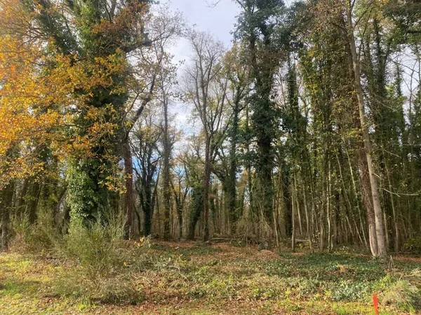 Terrain 1730 m²