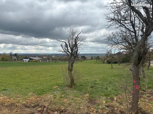 Terrain 800m2 à Nousseviller Saint Nabor