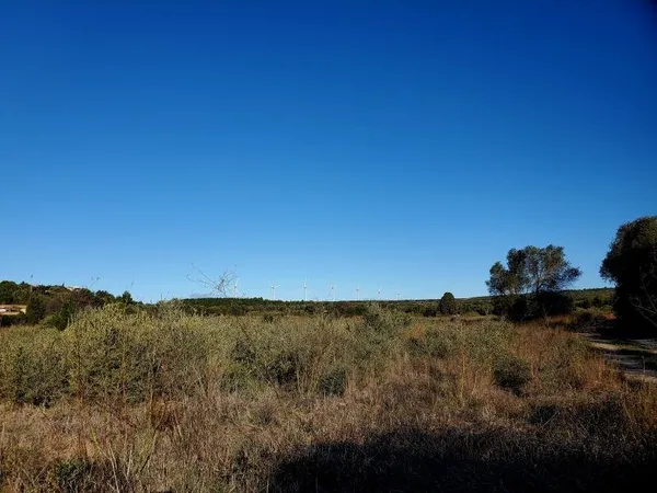 Terrain à bâtir Vente La Palme  410m² 109000€