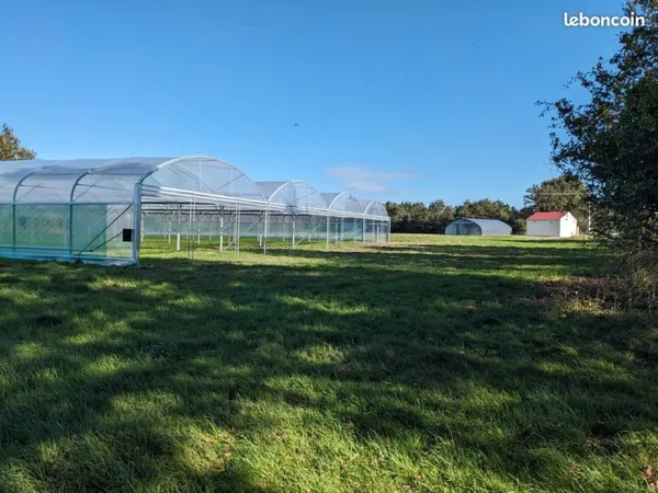 Ferme maraîchère en AB à Bellac