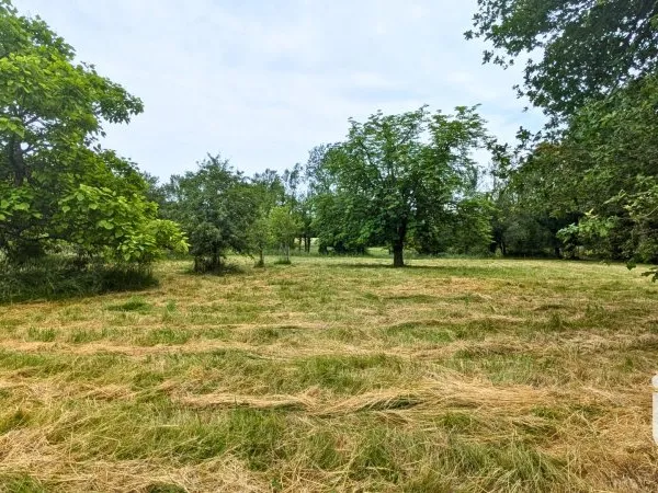 Terrain 2228 m²