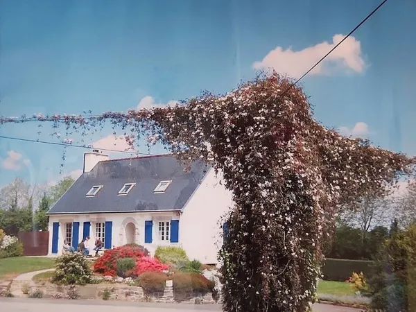 Maison avec grand terrain