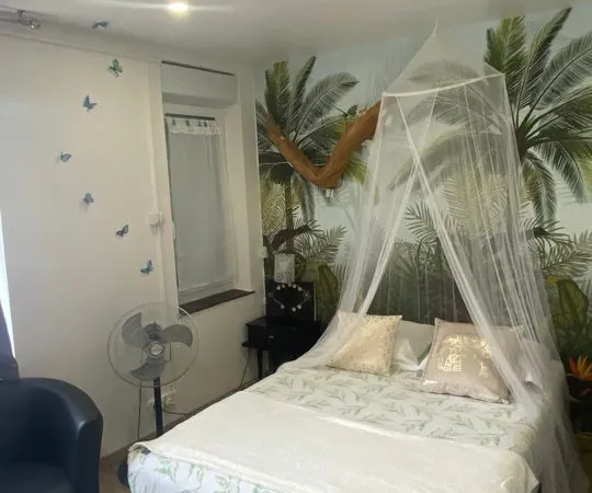 Studio de 28m2 à louer sur Lille