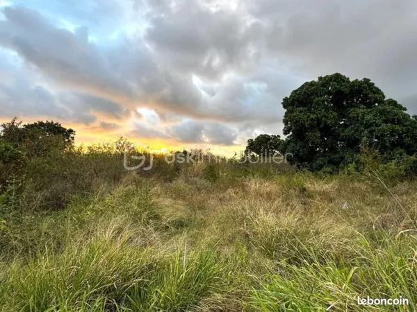 Terrain 987 m² Saint Louis