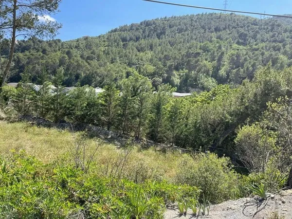 Contes Terrain CONSTRUCTIBLE 100000m2