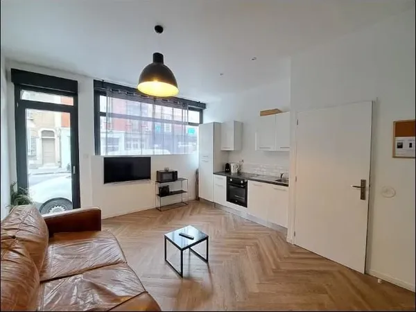 lot de 3 logements Airbnb.