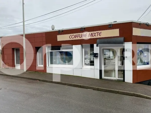 Local commercial 3 pièces 251 m²