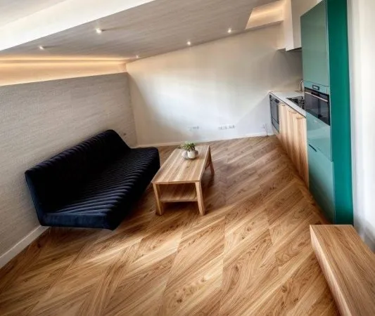 Appartement 1 pièce 26 m²