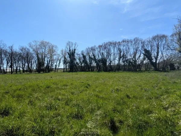 Terrain