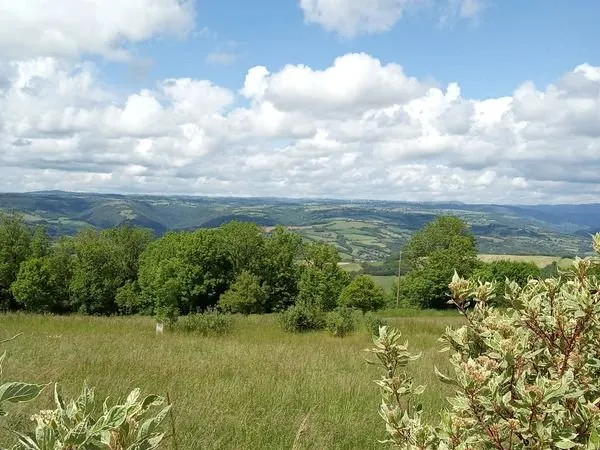 Terrain constructible 1624 m²