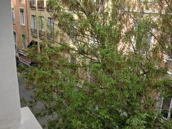 Rue piétonne Grenoble hypercentre