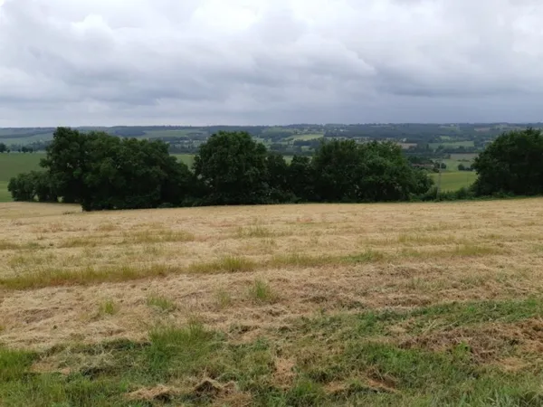 Terrain 656 m²
