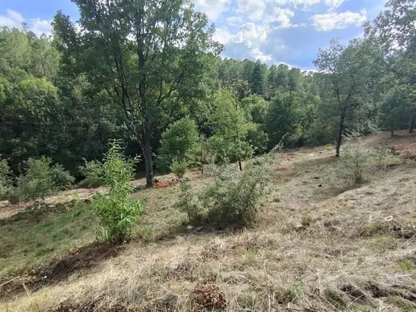 Terrain constructible 2389 m²