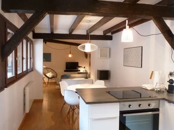 Appartement Meublé 2 pièces de 40M2 au Centre Ville