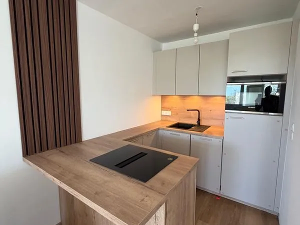 Studio rénové 31 m² + parking - Frontière Suisse à pied