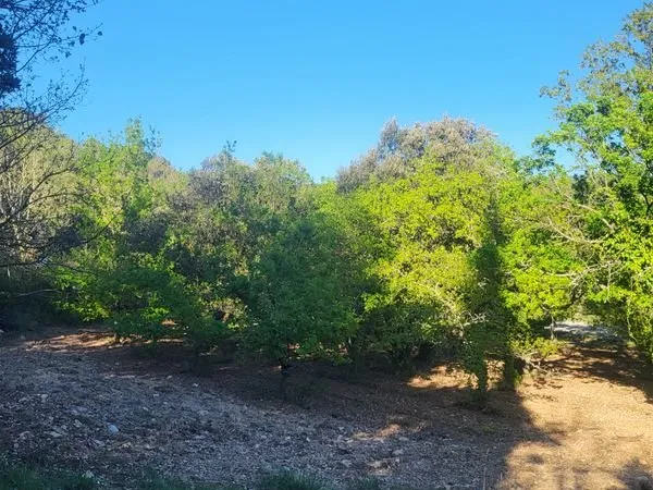 Terrain vendu avec son permis de construire 1350m2 région ventoux Provence