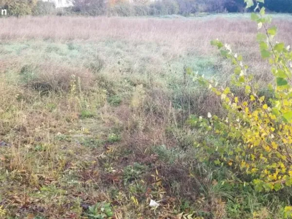 Terrain 552 m² La Sauve