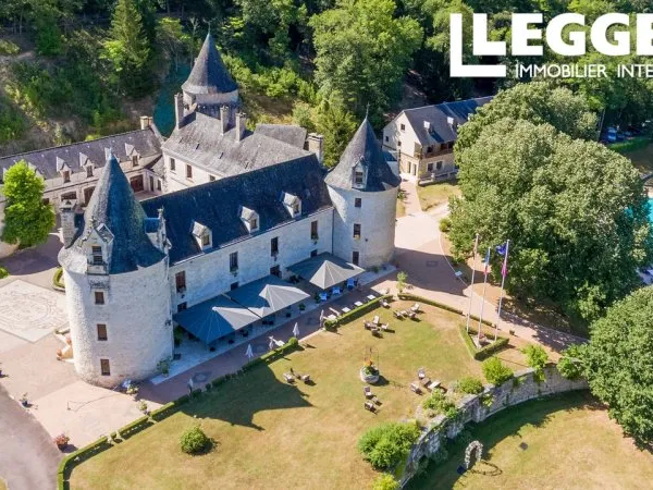Château d'exception au charme médiéval, niché au coeur du Périgord Noir, alliant l'histoire et l'élé