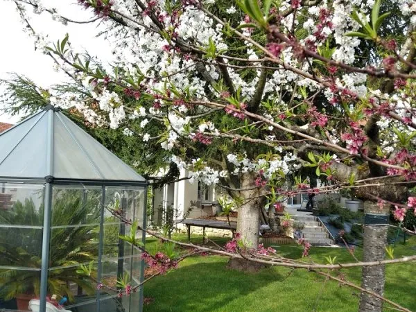 Vends maison de ville, 5 chambres, jardin clos