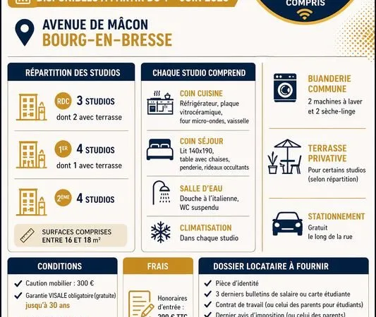 Studios meublés entièrement rénovés - Disponibles à partir du 1er juin 2026