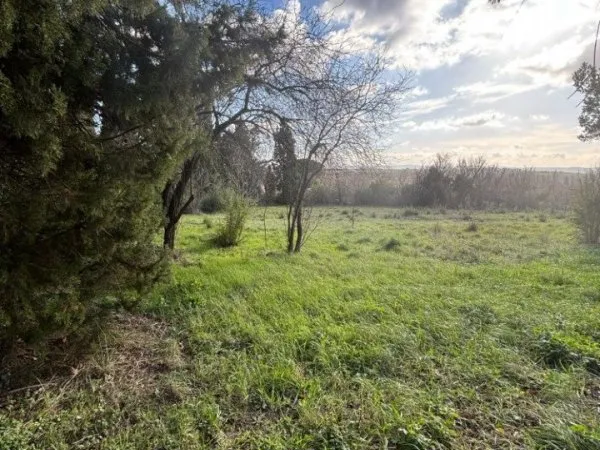Terrain 1164 m²