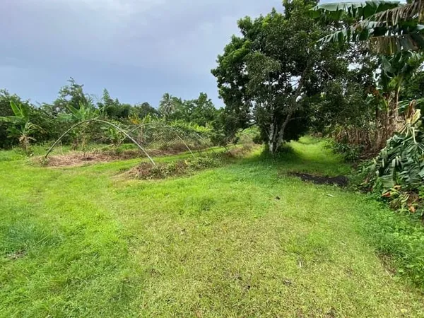 Terrain 4800 m²