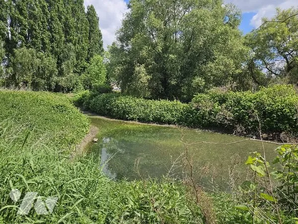 Terrain 3125 m²