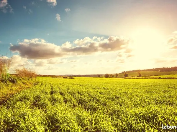 Terrain 600 m² Sorigny