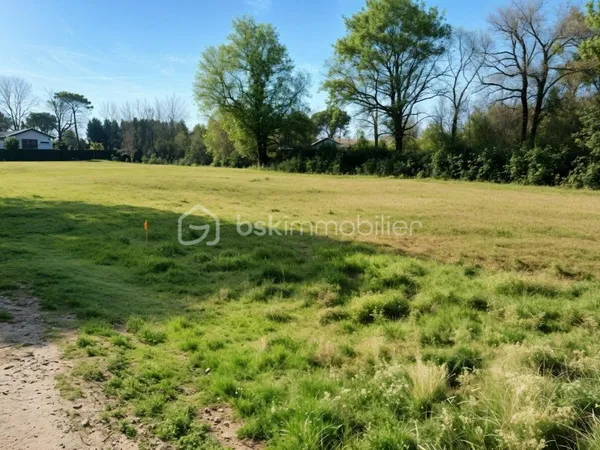 Terrain 650 m²