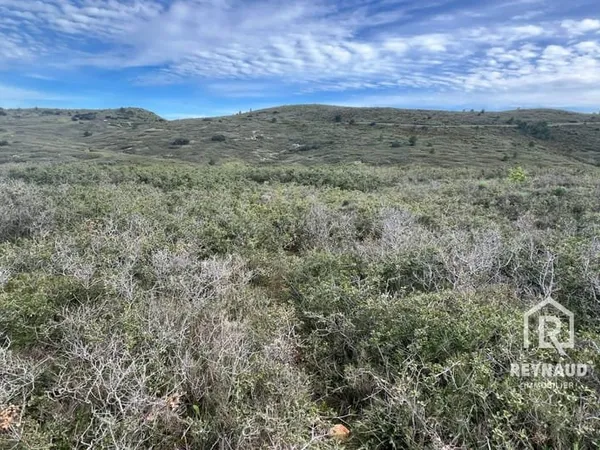 Terrain 41490 m²
