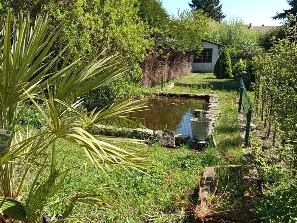 A louer F2 rez de chaussé