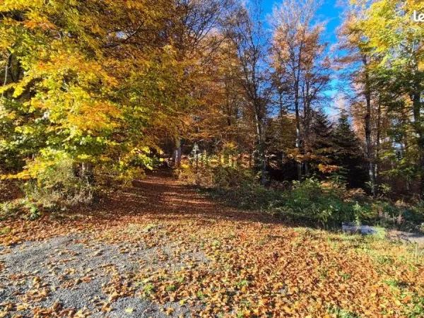 Maison 5 pièces 119 m²