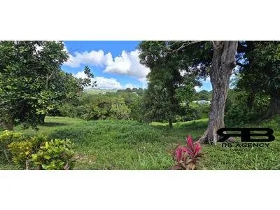 Terrain Constructible Fonds Brûlé - LE ROBERT