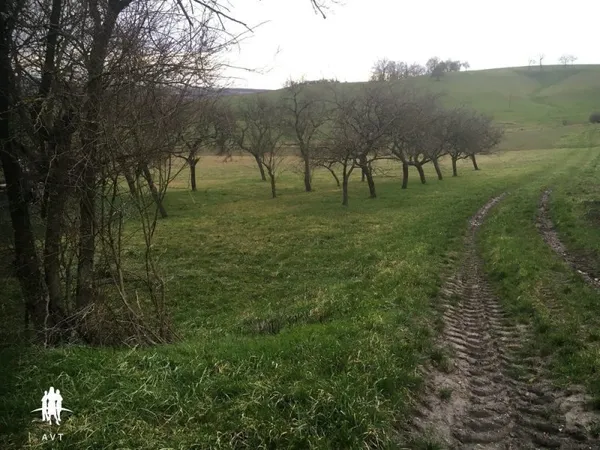 TERRAIN constructible et verger de 1845 m²