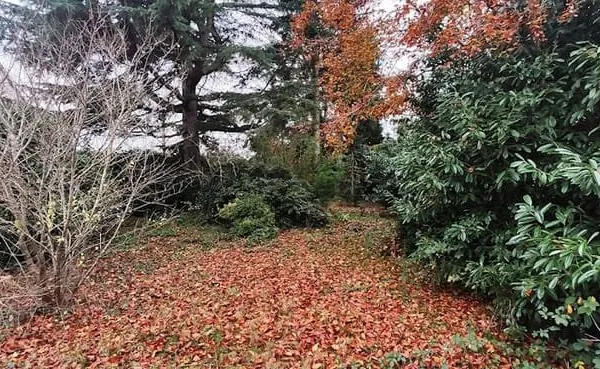 Terrain 1103 m²