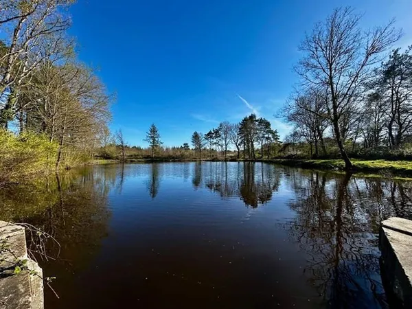 Terrain 15000 m²