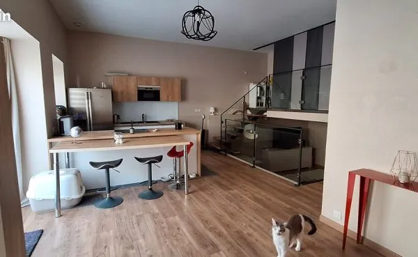 Appartement T2 bis RDC/2 étages - type loft - 67 m² - 1 parking - Caluire et Cuire - Secteur Ile Bar