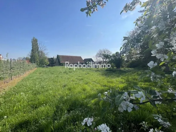 Maison 2 pièces 215 m²