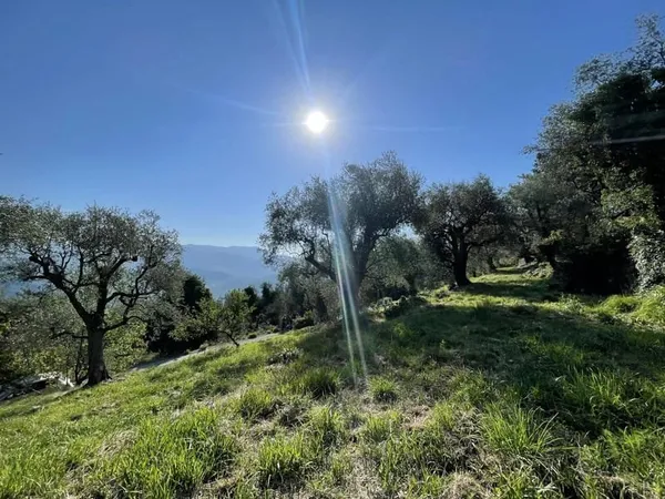 Chateauneuf Villevieille "André" Terrain constructible 1950m²