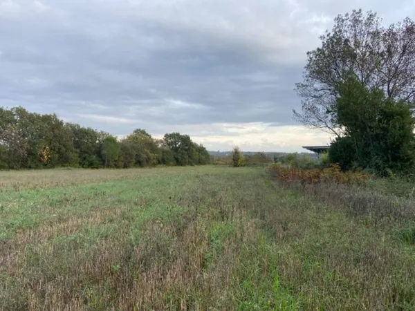 Terrain 795 m²