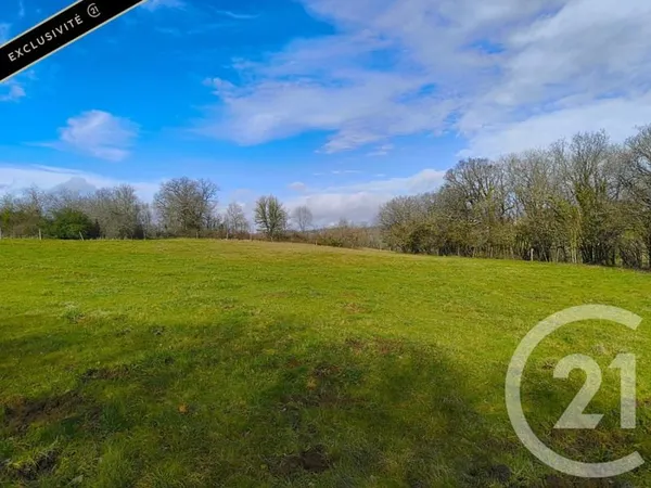 Terrain 9017 m²