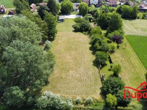 Terrain 3800 m² Warlaing