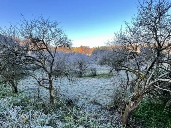 Terrain 937 m²