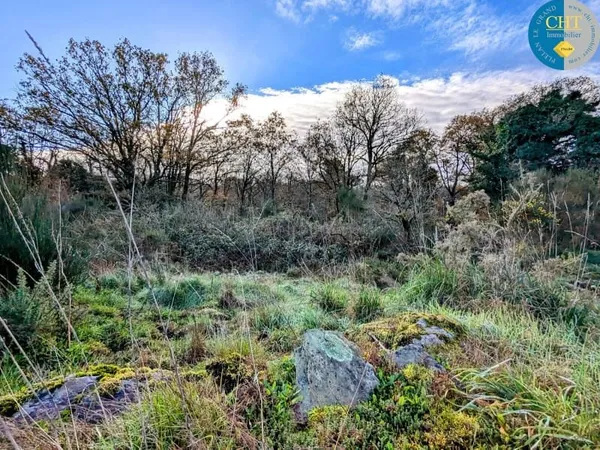Terrain 1716 m²