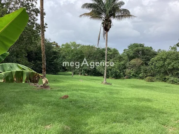 Terrain à bâtir de 11100m2