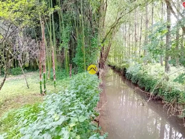 ET AU MILIEU COULE LA RIVIÈRE